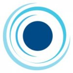 Bluesight, Inc. logo