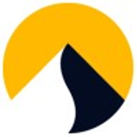 Nirvana Insurance logo