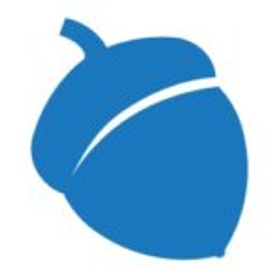 Blue Acorn iCi logo